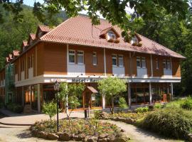 Kurpark Flair Hotel Im Ilsetal, hotell i Ilsenburg