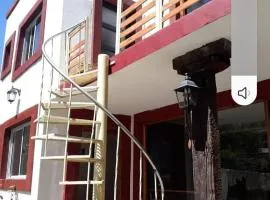 El jardín