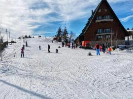 Hotel Polar Star, hotel in Žabljak
