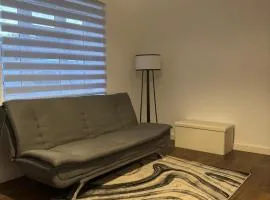 Modern spacious flat