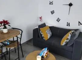 Bel appartement entier F1 à 5 mn de Mulhouse