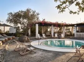 Vedema, a Luxury Collection Resort, Santorini