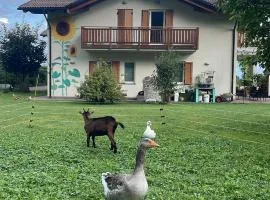 Agriturismo Girasole