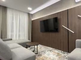 Comfortable apartment in the old Belgrade city