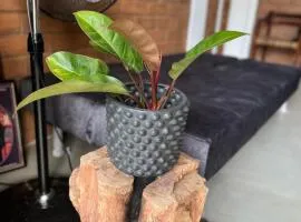 Eco Home