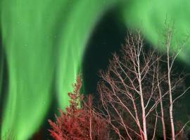 Luxury Northern Light Oasis、フェアバンクスのラグジュアリーホテル