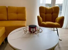 Modern apartment