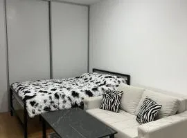 Y apartman Zvezdara
