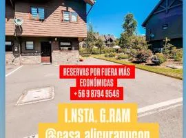 Casa Alicura Pucon