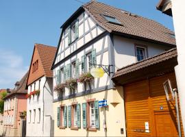 Kronenhof - Wein und Ferien, Hotel in Gau-Algesheim