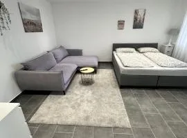 Zieg39 EG Apartment groß