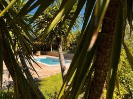 Kokon Boutique Guesthouse
