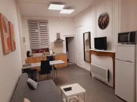 Grand studio au calme - Dijon centre