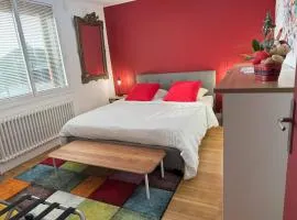 Domus 26 Chambre Meridionalis