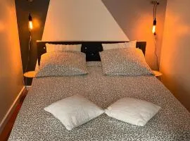 Cosy T2 centre-ville