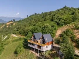 vrossi 1