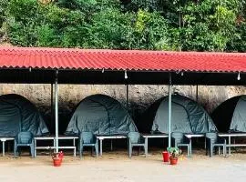 The nest bettathur Coorg campsite