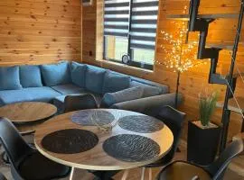 Domek w Budzie Ruskiej