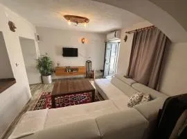 Bodrum Center 1plus1 for 4 people Stone Building - Citak Mansions