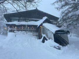 レストマンス・ペンション・ウッディヒル、飯山市のスパホテル
