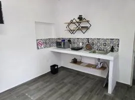 Loft Iteso Buganvilias Coca Cola Periferico y Lopez Mateos