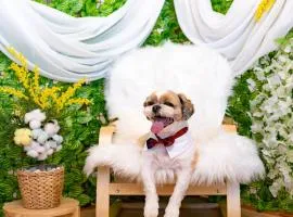 Taean WithDog Aegyeonspa Poolvilla