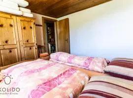Traumchalet, Riederalp Schweibe