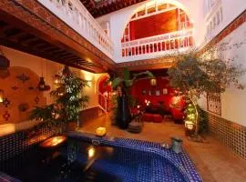 Riad La Terrasse Des Oliviers