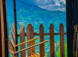 Golden Paws Guesthouse