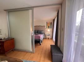 Hermoso departamento en parque urbano 1, Hotel in Concepción
