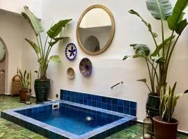 Riad entièrement privatisé 5 suites riad avec bassin pres de la célèbre place Jemaa El Fna le petit déjeuner et le ménage quotidien compris