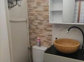 studio idéal visite de Paris