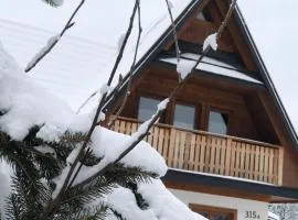 Zaśnieżony Domek przy Dolinie Chochołowskiej