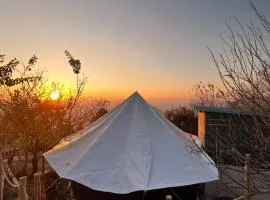 Jijivisha