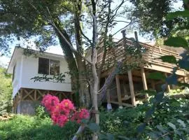 Cottage Dejavu & Harvest - Vacation STAY 03241v