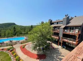 Lutsen Ski-In/Ski-Out | Moose Mtn Views | Hot Tub