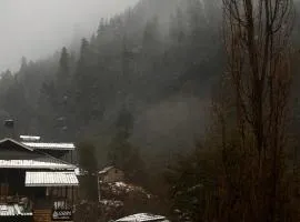 Odin Hostel Jibhi