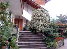 Pension Stamserhof