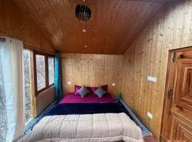 Cabin in the woods