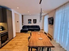 Silberdistel Brand-new luxury apartment with private terrace