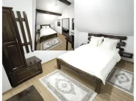 Casa Catinca