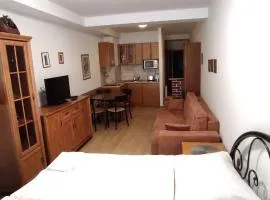 Studio apartman Tatran A-29