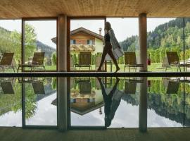 Monaco Sport Hotel, Hotel in Santo Stefano di Cadore