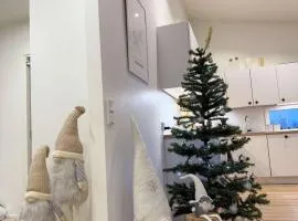 Big apartment, near Santaclaus Village