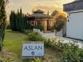 ASLAN AİRPORT Hotel