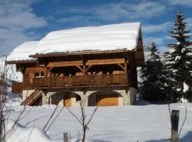 Chalet Pierre-puy-saint-vincent 1400 - Magnifique Chalet de 12 couchages proche des pistes MAE-6891