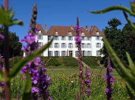 Château De Matel, B&B in Roanne