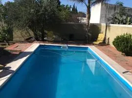 El Bosque 1