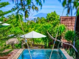 DNR Lumbung Garden