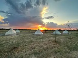Glamping at Beltie Park